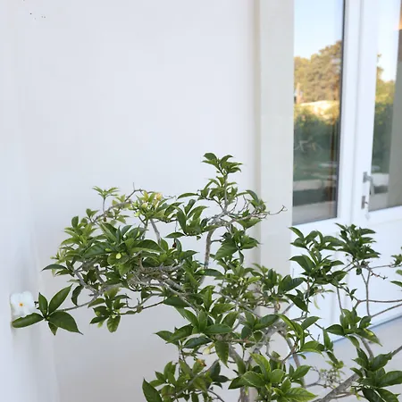 Podere 43 Charme 奥特朗托