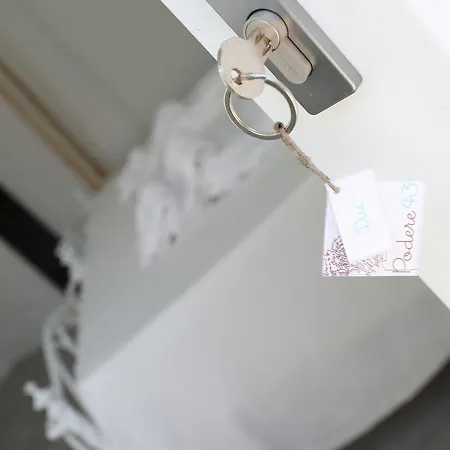 Podere 43 Charme 农家乐 *